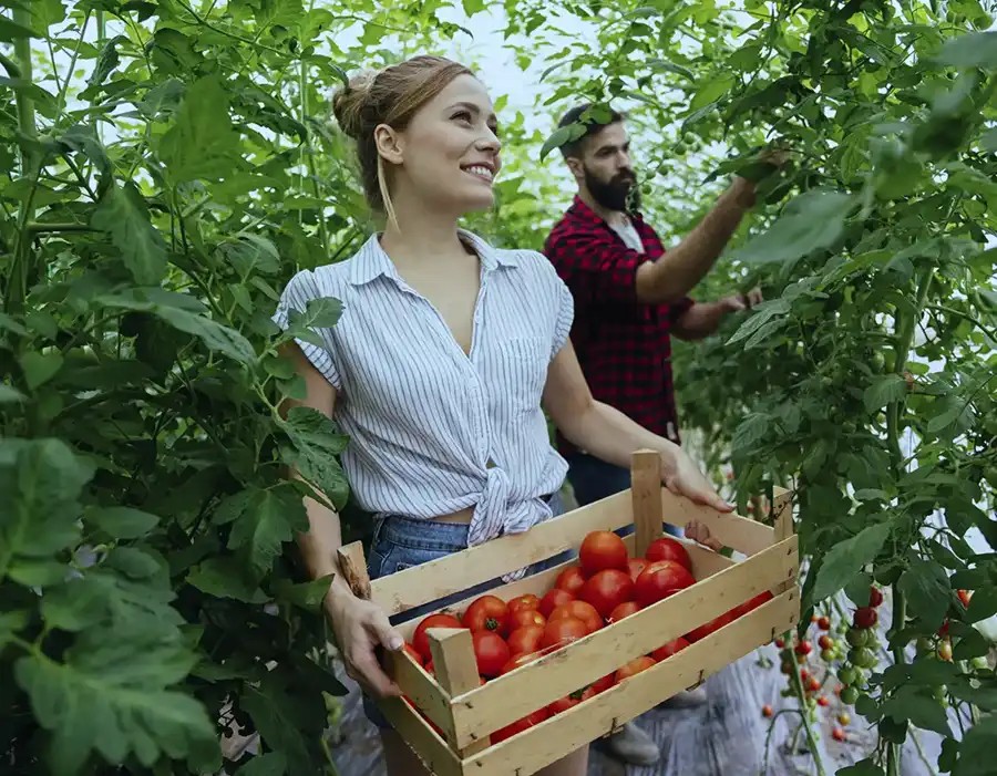 Zerah-agrotourismo-2